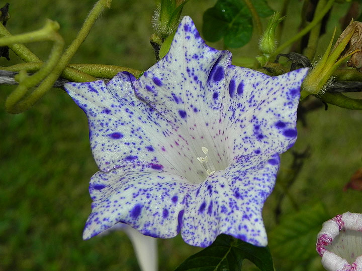 1-dscn4793