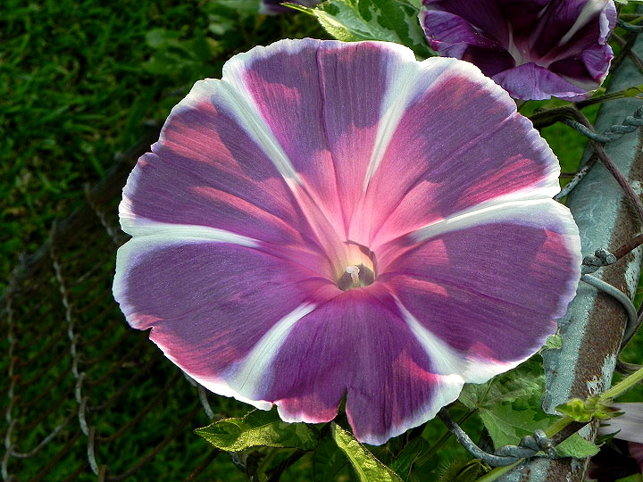1-dscn7947