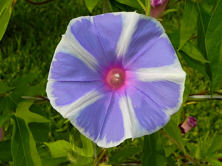 1-dscn8744