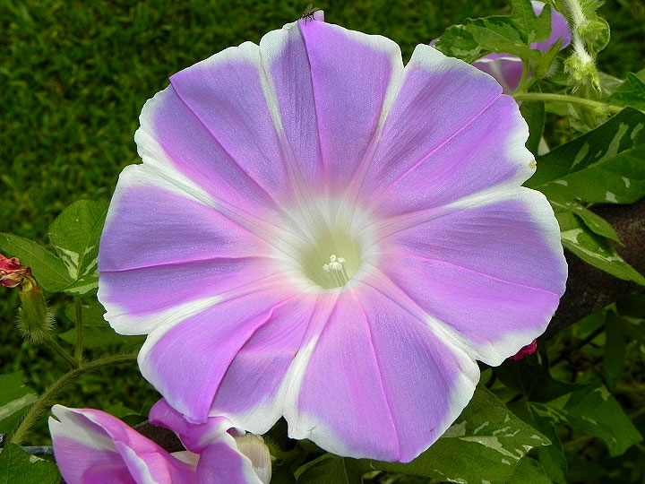 1-dscn9749