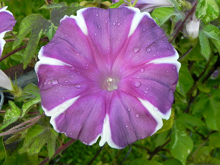 2-dscn1284