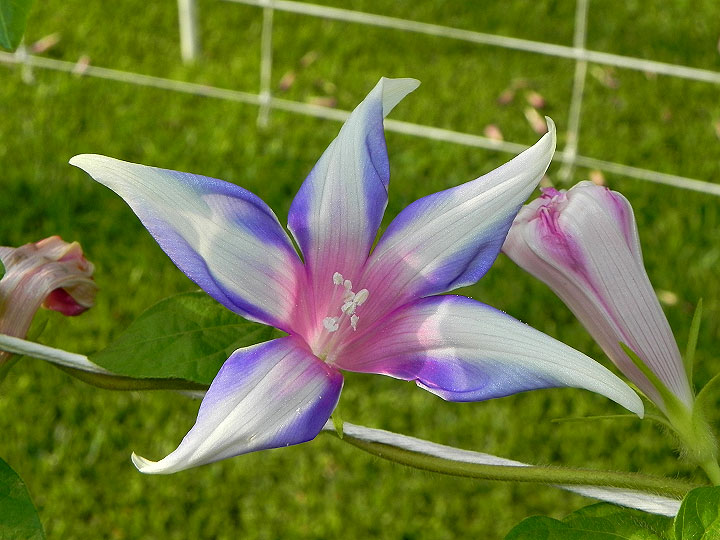 2-dscn8487