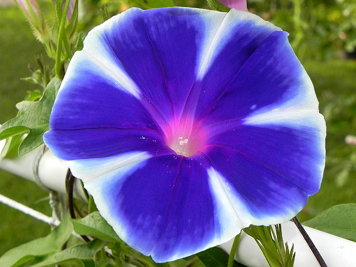 2-dscn9393