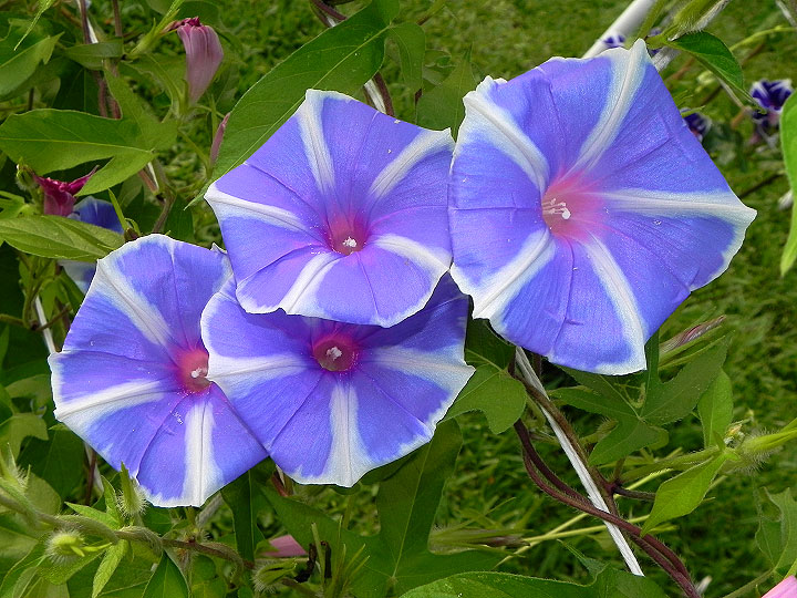 3-dscn8180
