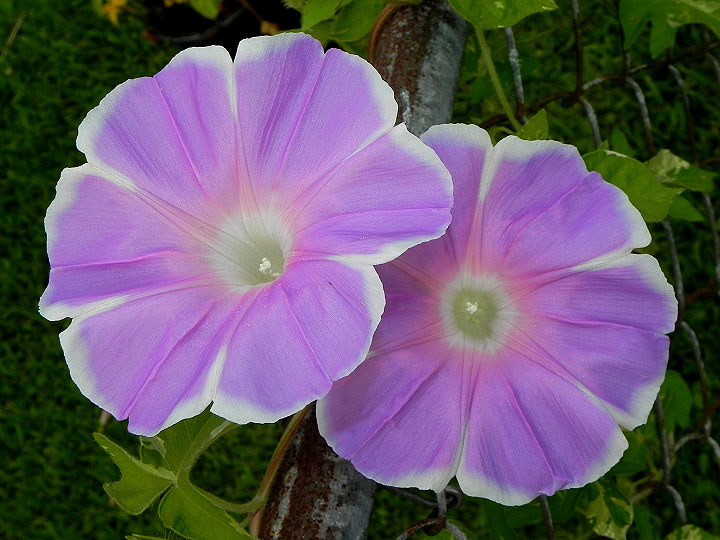 3-dscn8675
