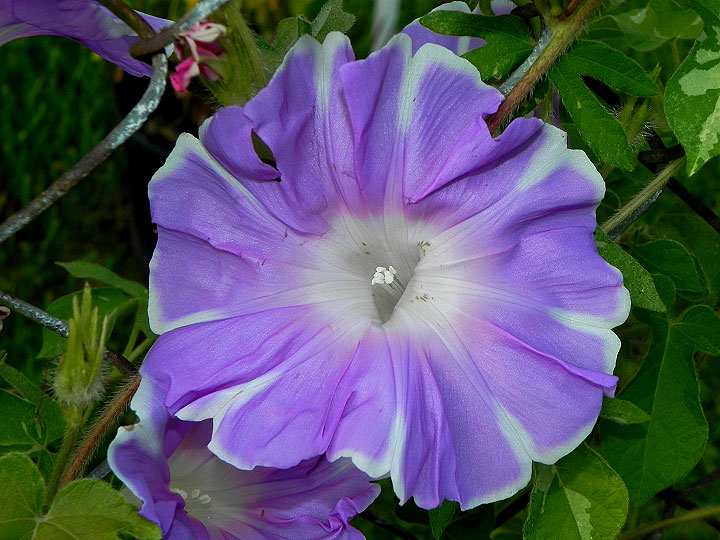 4-dscn1028