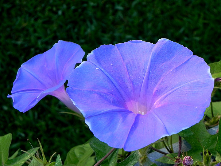 4-dscn1314