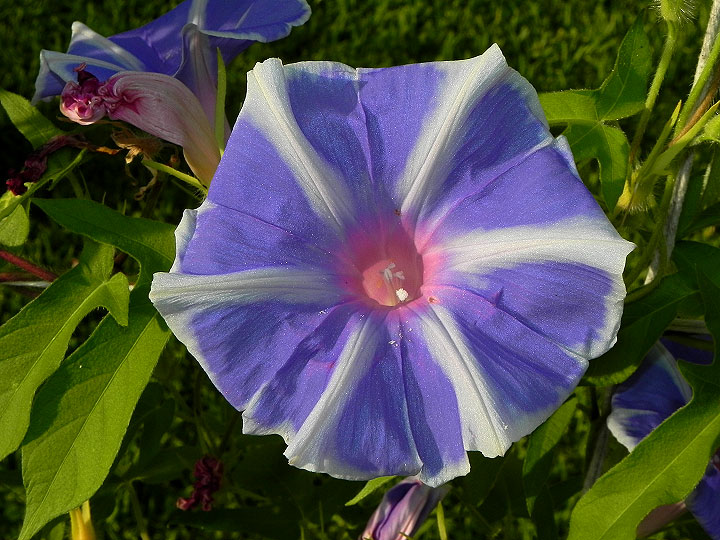 4-dscn8562