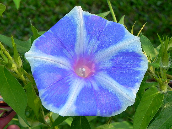5-dscn7943