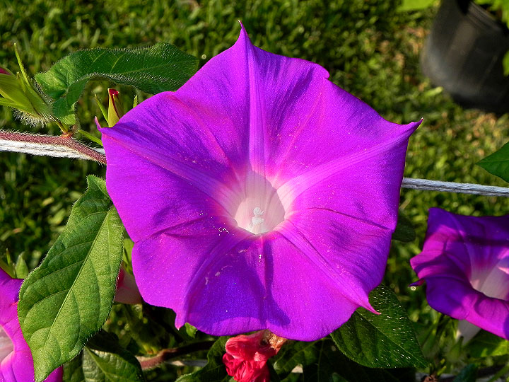 5-dscn8221