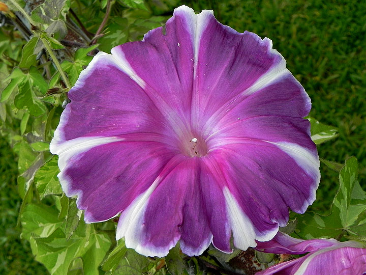 5-dscn8676