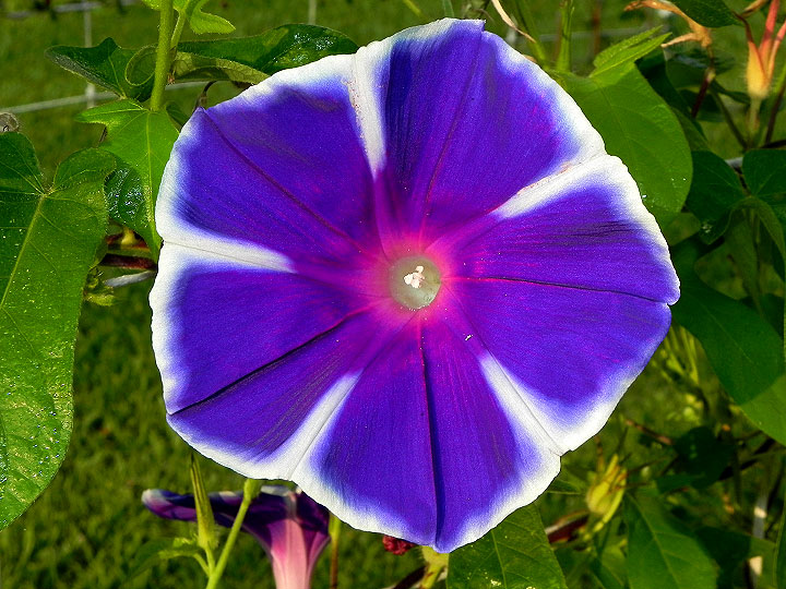 5-dscn9179