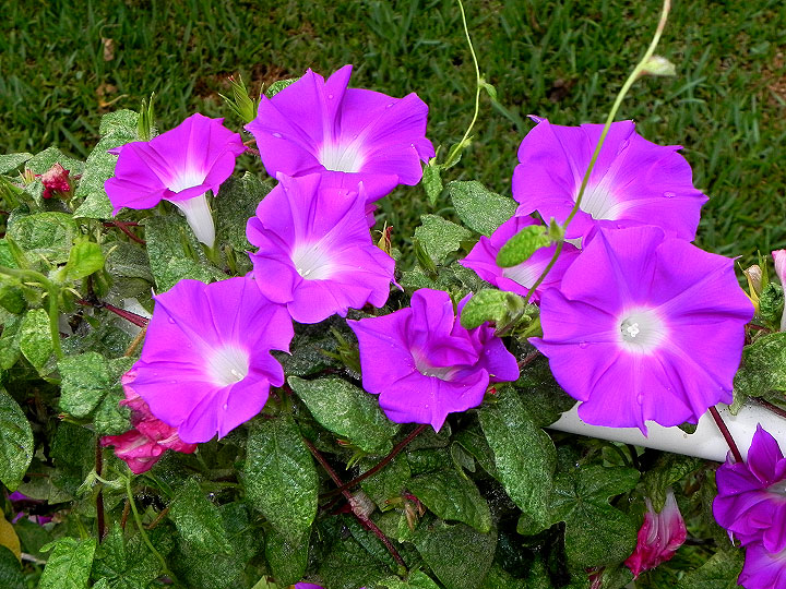 6-dscn2261