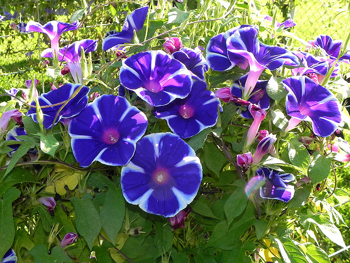 6-dscn2553