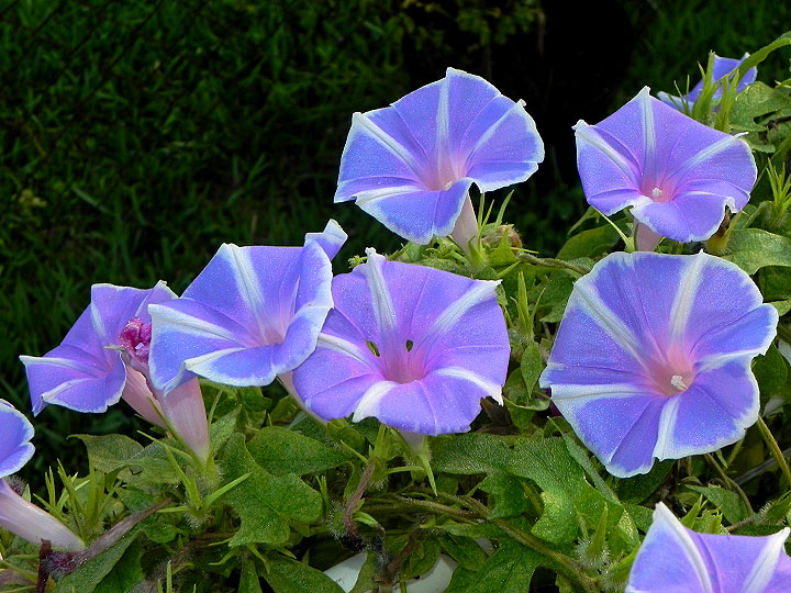 6-dscn3058
