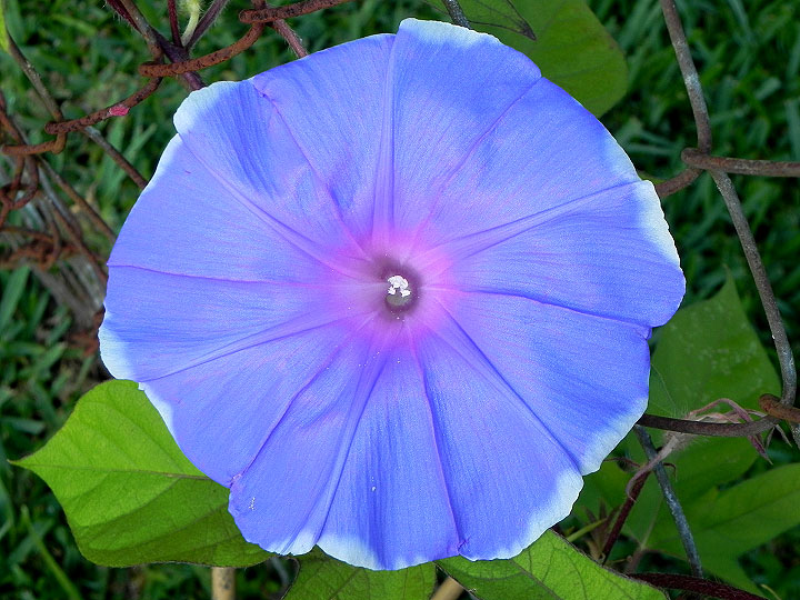 6-dscn7912