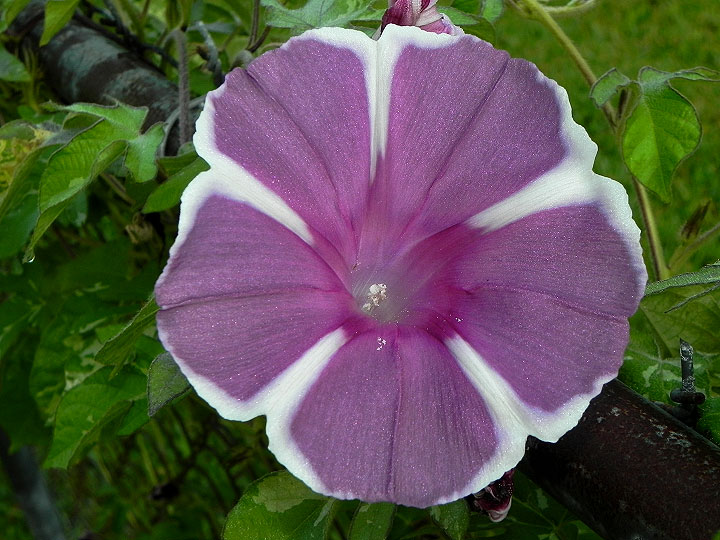dscn0016