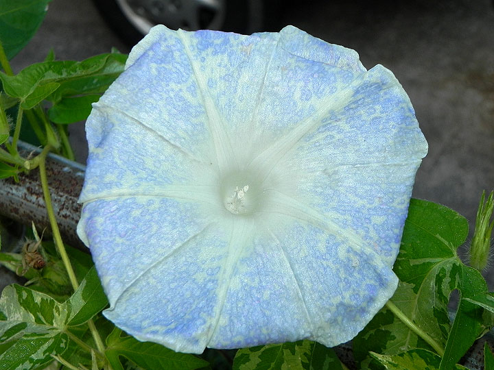 dscn0062