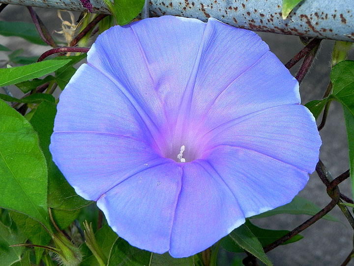 dscn0069