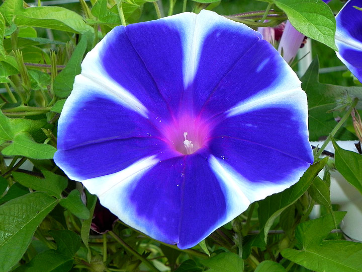 dscn0117