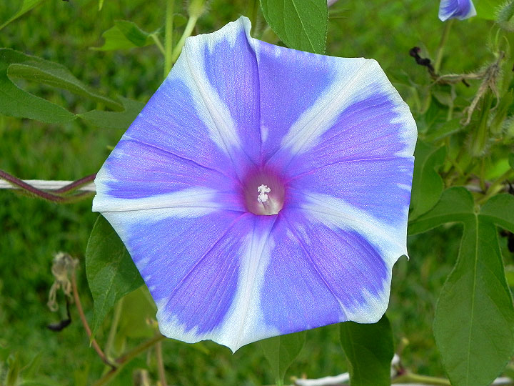 dscn0133