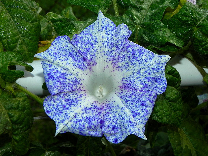 dscn0192