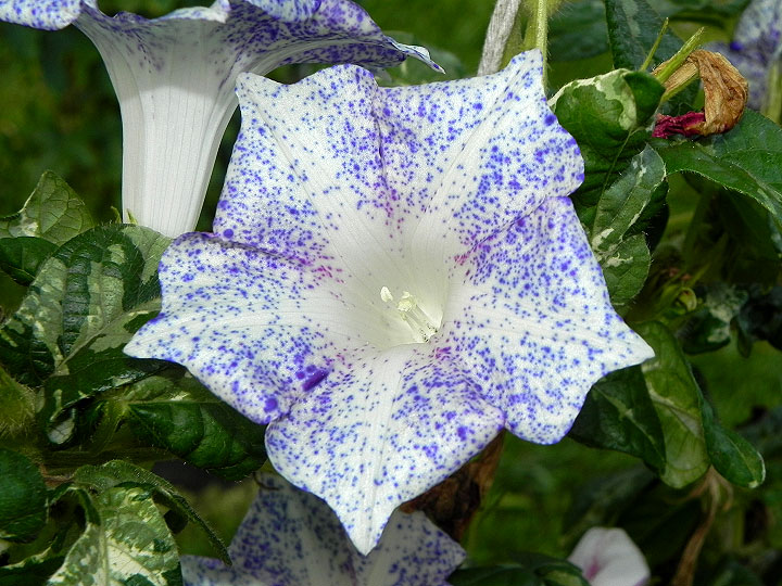 dscn0197