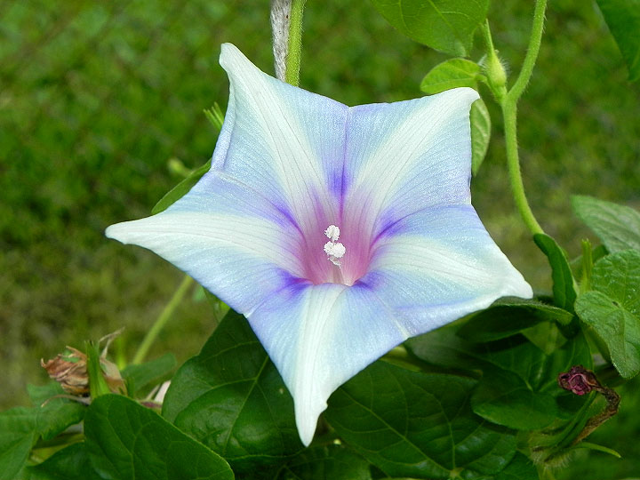 dscn0219