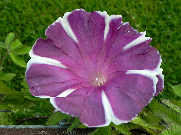 dscn0233