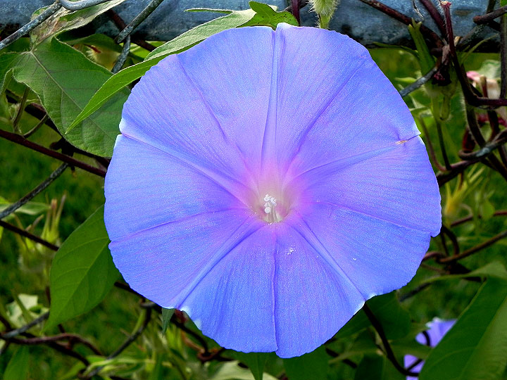 dscn0268