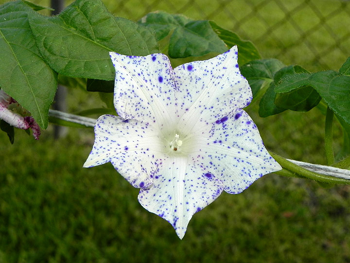 dscn0297