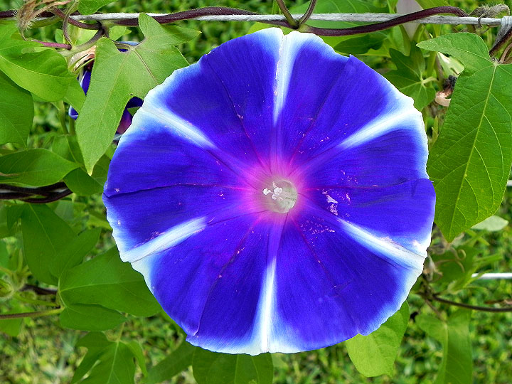 dscn0307