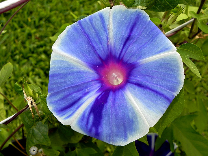 dscn0309