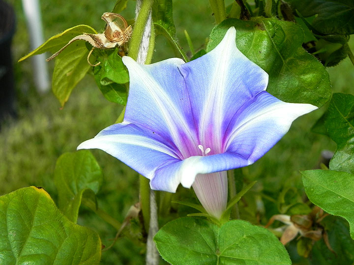 dscn0313