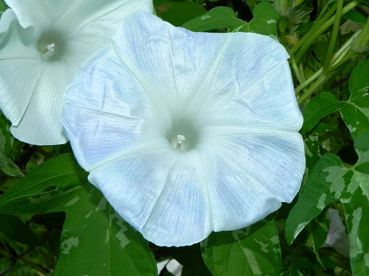 dscn0345
