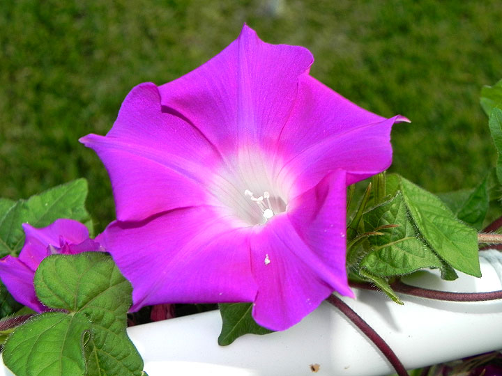 dscn0347
