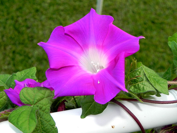 dscn0348