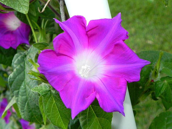 dscn0350