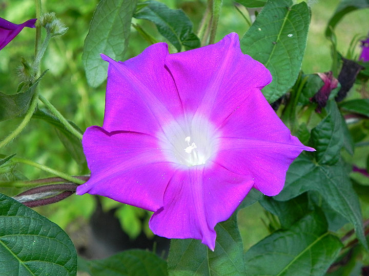 dscn0352