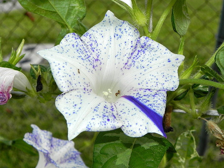 dscn0357