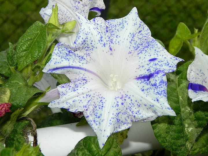 dscn0358