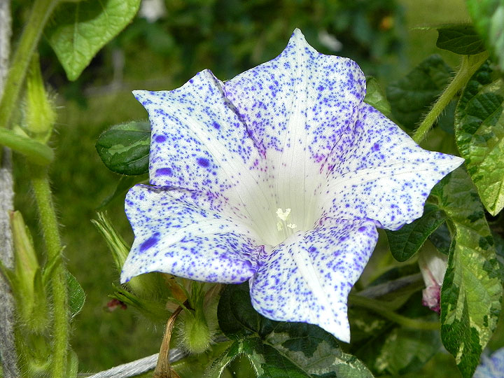 dscn0367