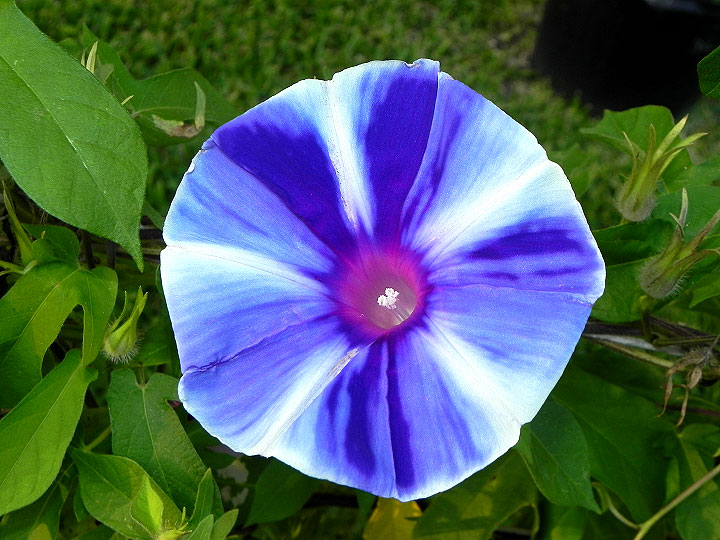 dscn0396
