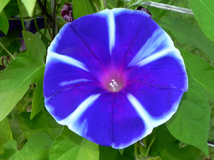 dscn0399