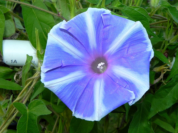 dscn0436