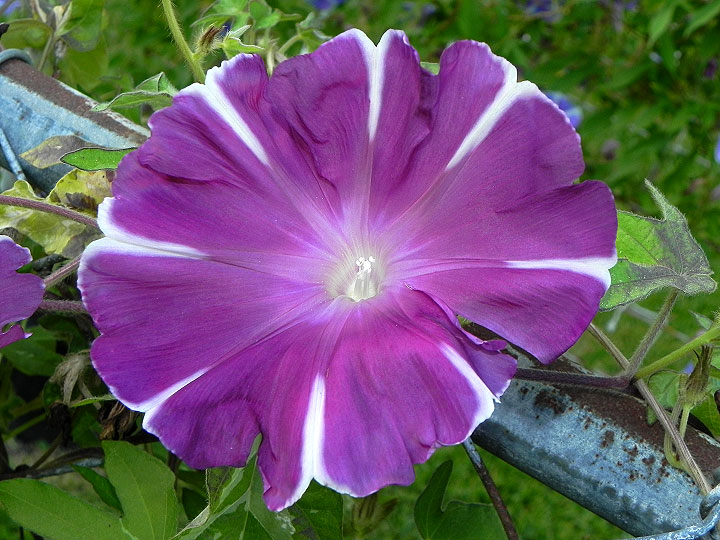 dscn0442
