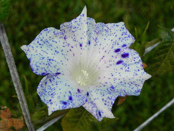 dscn0496