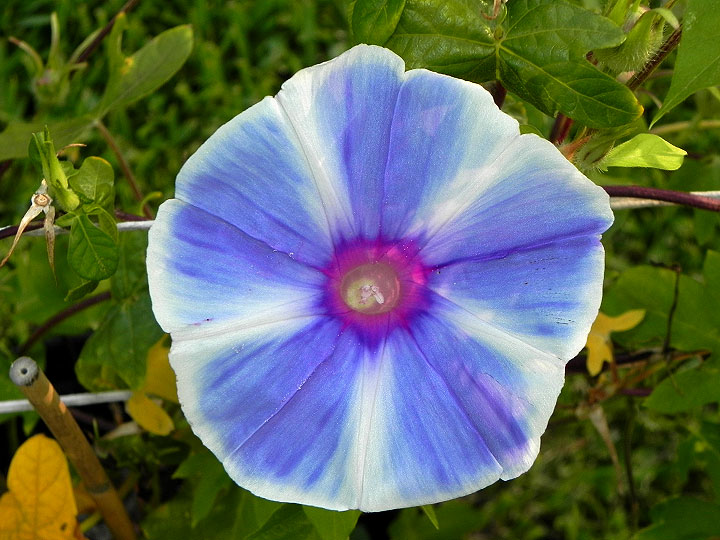 dscn0499