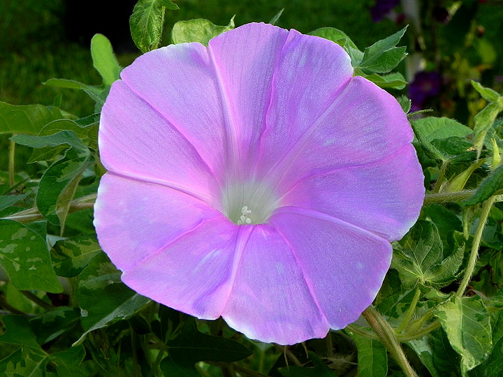 dscn0557