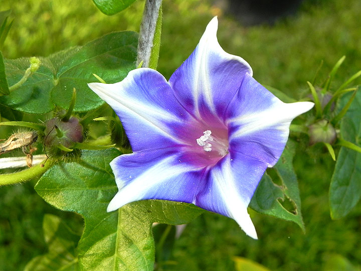 dscn0608